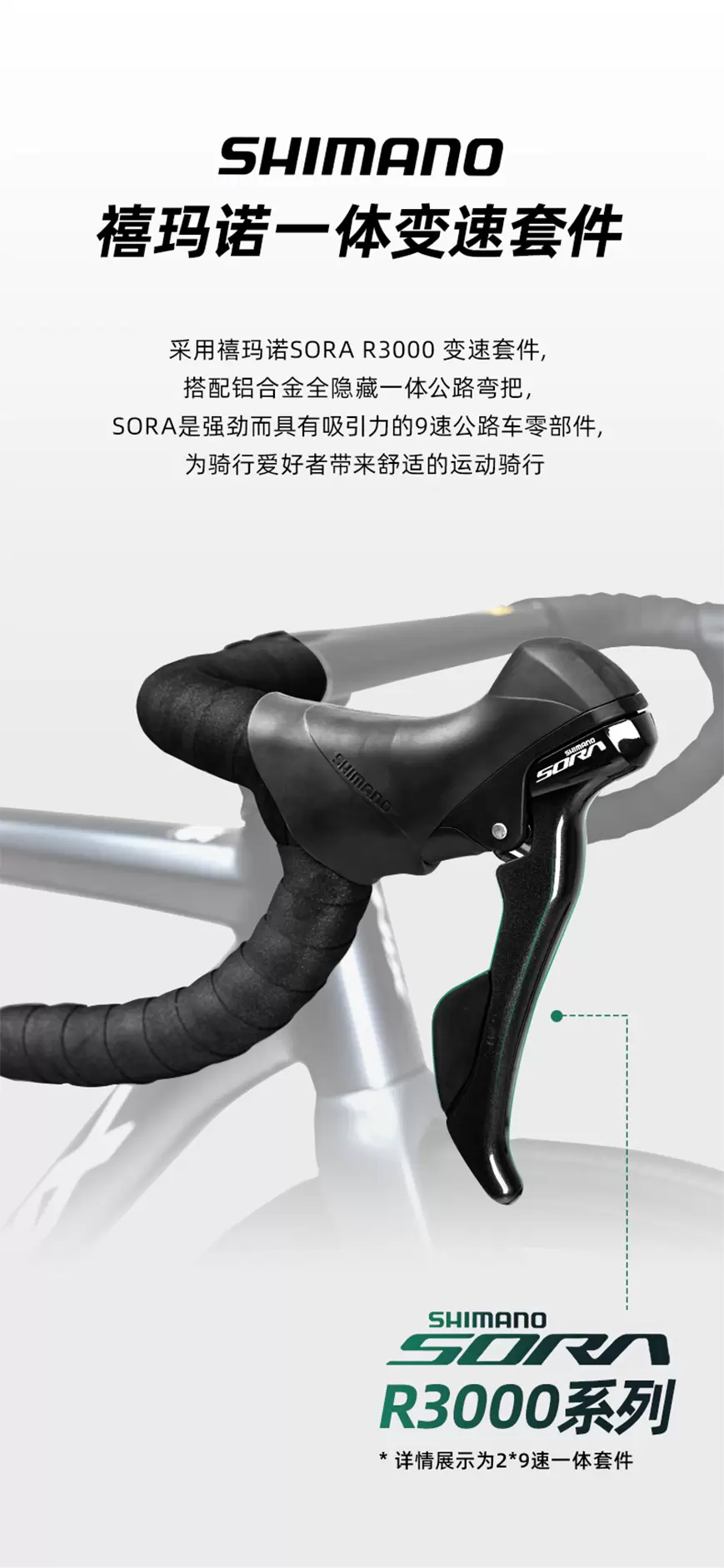 球速体育
